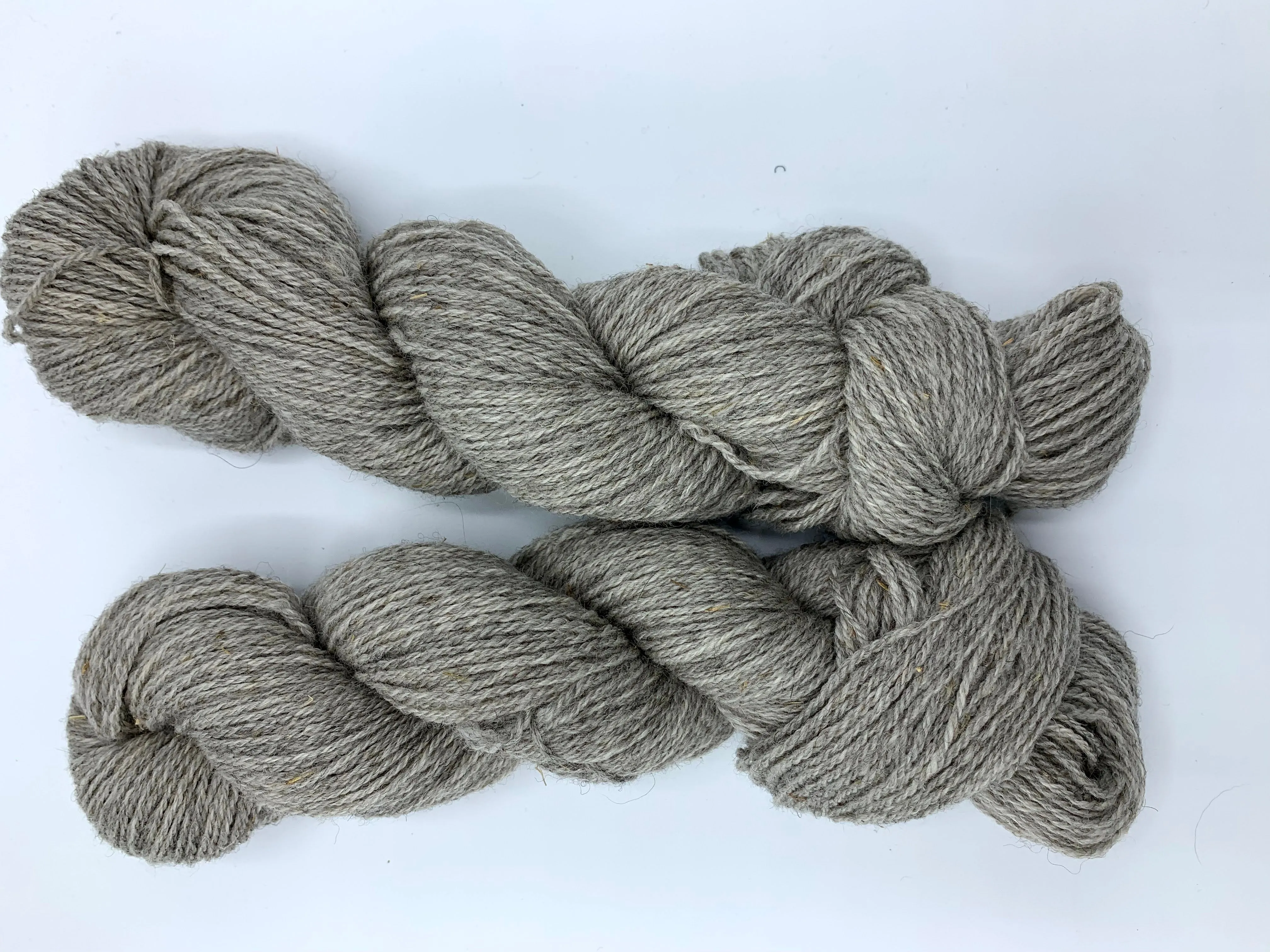Corriedale (Rose Marie) - Sport