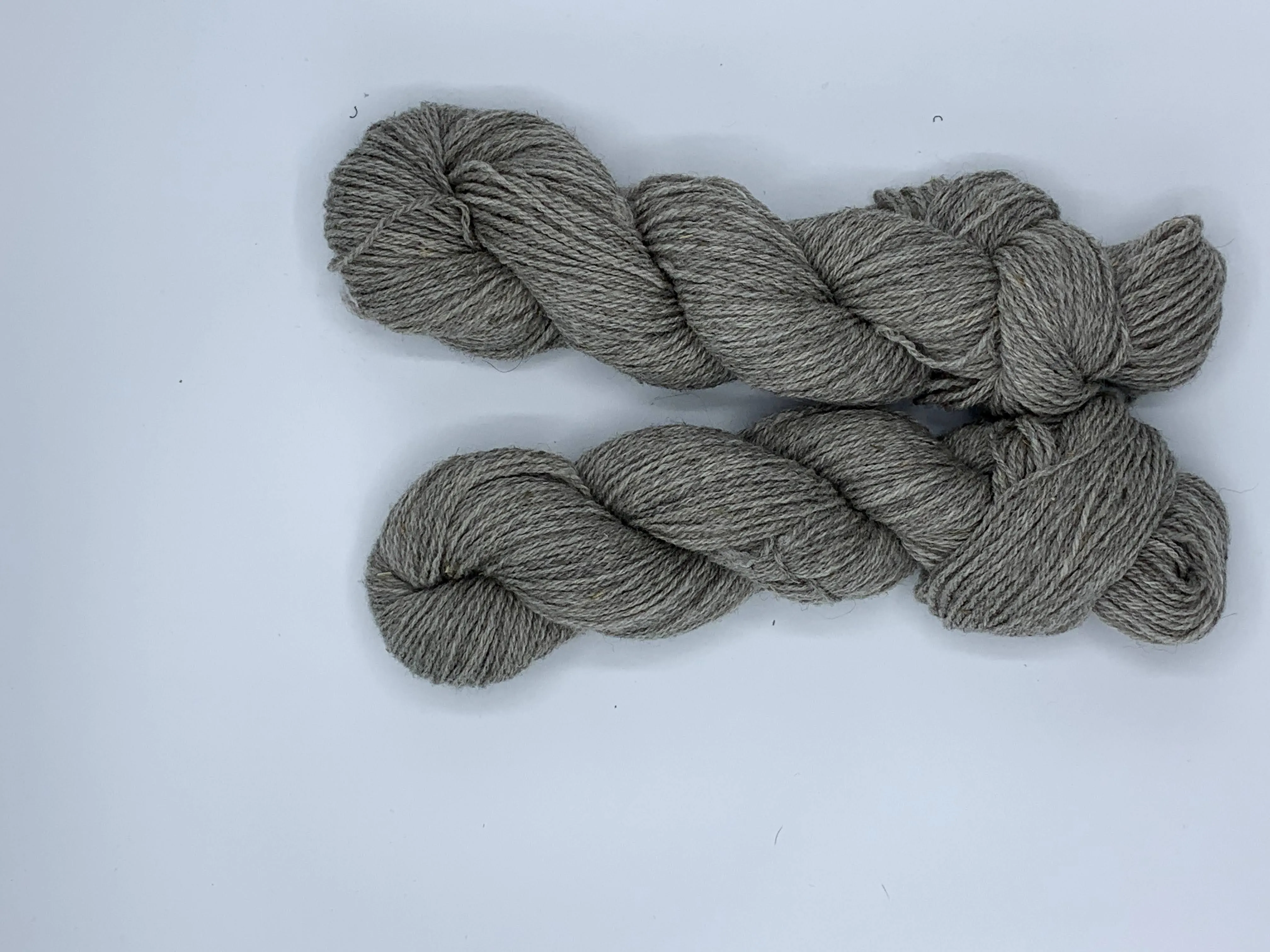 Corriedale (Rose Marie) - Sport