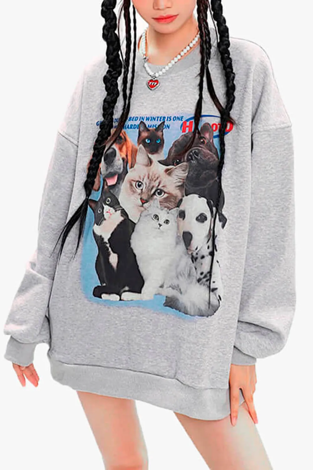 Retro Pets Animals Aesthetic Sweatshirt